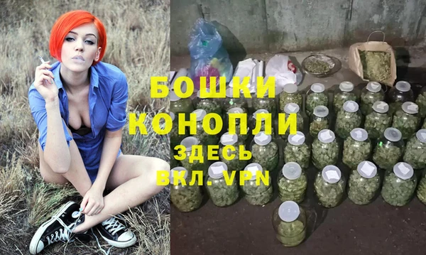дживик Протвино