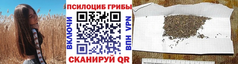 Купить где  Петушки  Галлюциногенные грибы Magic Shrooms 