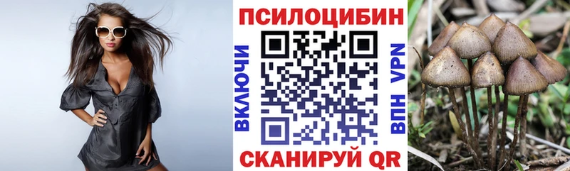 Псилоцибиновые грибы прущие грибы Петушки